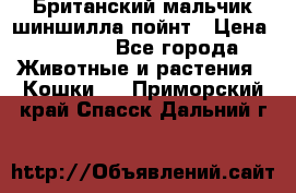 Британский мальчик шиншилла-пойнт › Цена ­ 5 000 - Все города Животные и растения » Кошки   . Приморский край,Спасск-Дальний г.